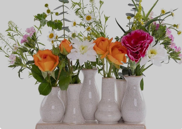 Cut Flowers